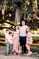 340. Amy Ben Maternity Family