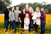Anna Phillips | Family Session