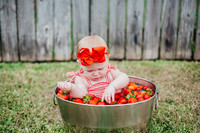 267. Audrey Strawberry Minis